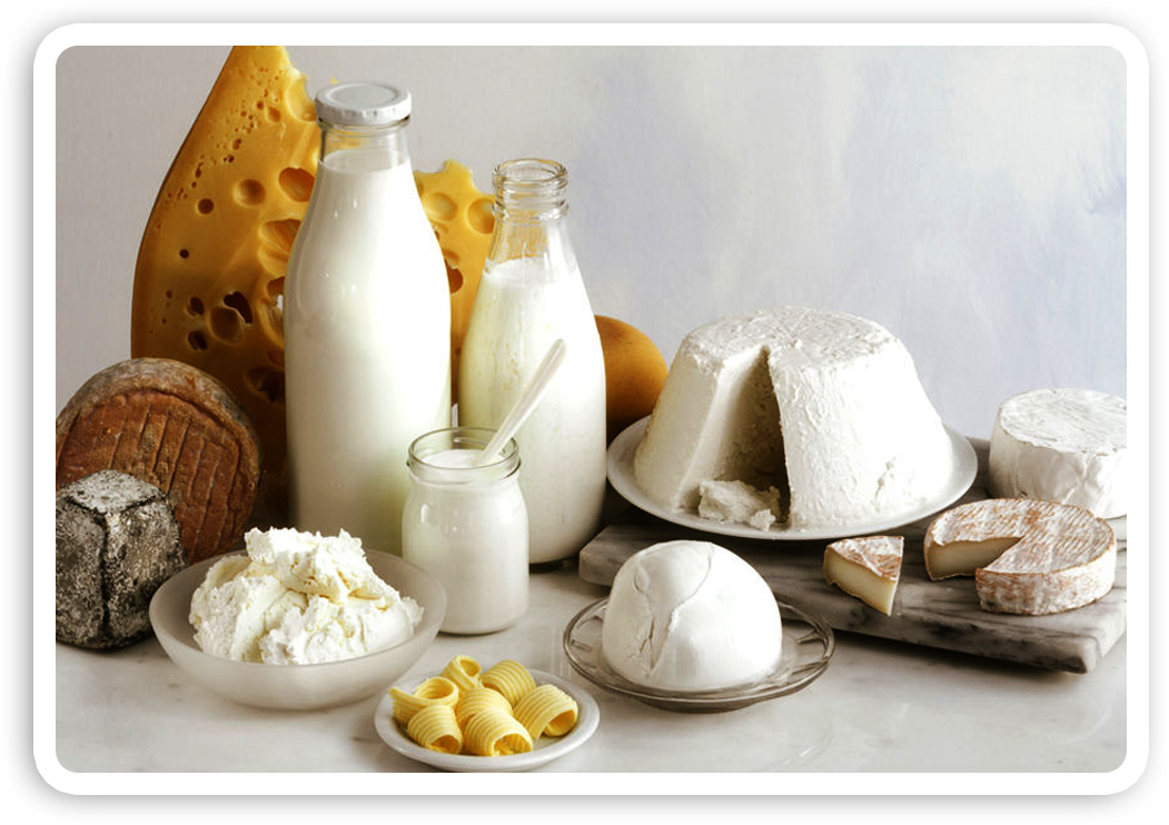 Et utvalg av ost, melk, smør og yoghurt. Foto.