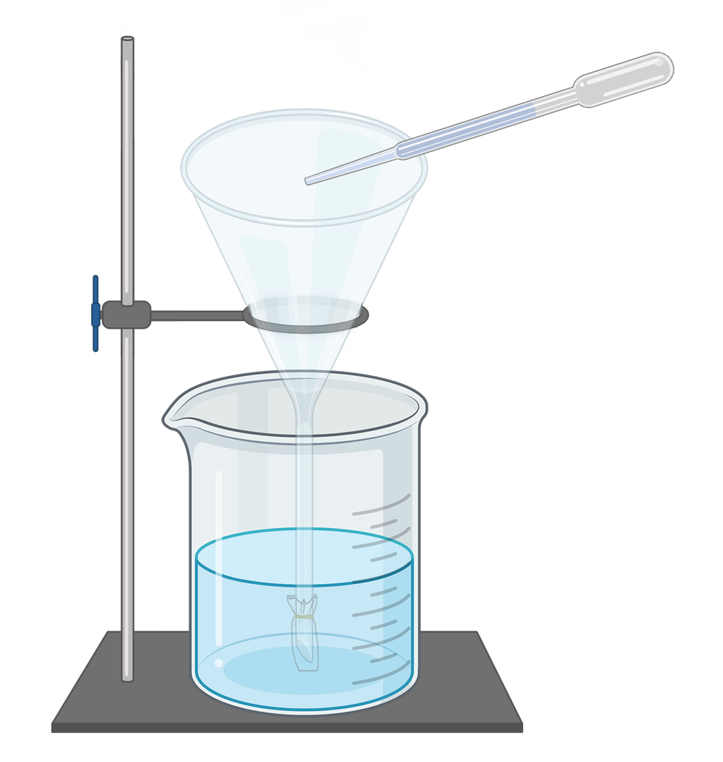 Stativ med en trakt festet over et begerglass. Øverst er det en pipette. Illustrasjon.