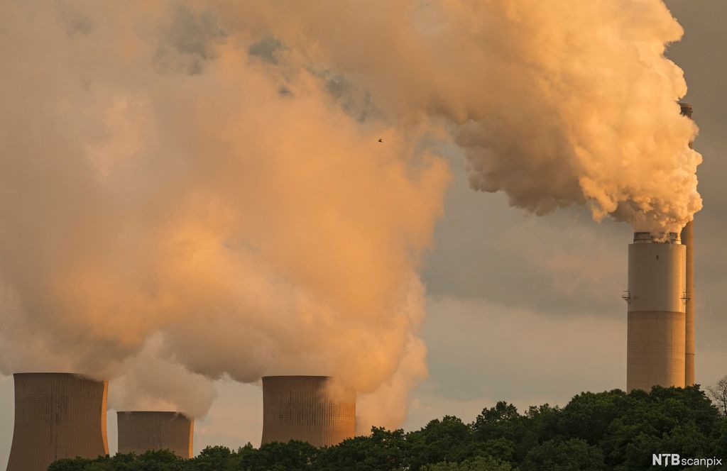 Kullkraftverk med mye damp. Foto.