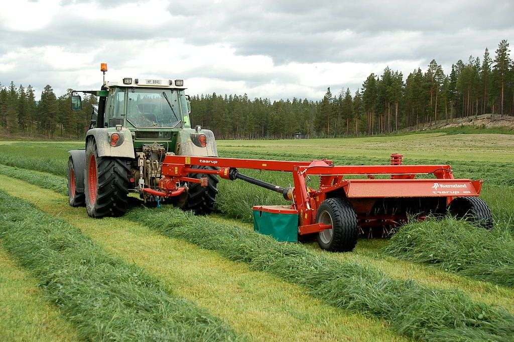 Traktor med slåmaskin slår gras. Graset legger seg i render på åkeren. Foto.