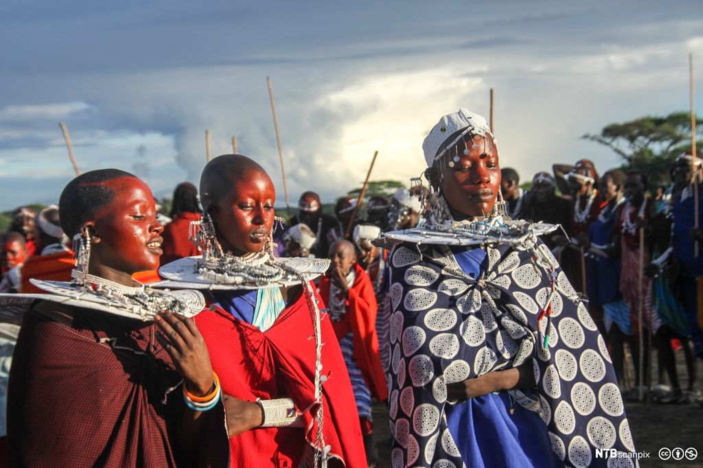 Kroningen av en ny masaihøvding. Tre personer med store krager og fargerike kapper står fremst i en folkemengde. Foto. 