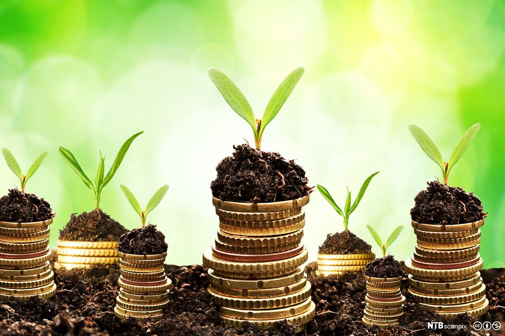 Planter som spirer opp fra stabler med gullpenger. Illustrasjon.