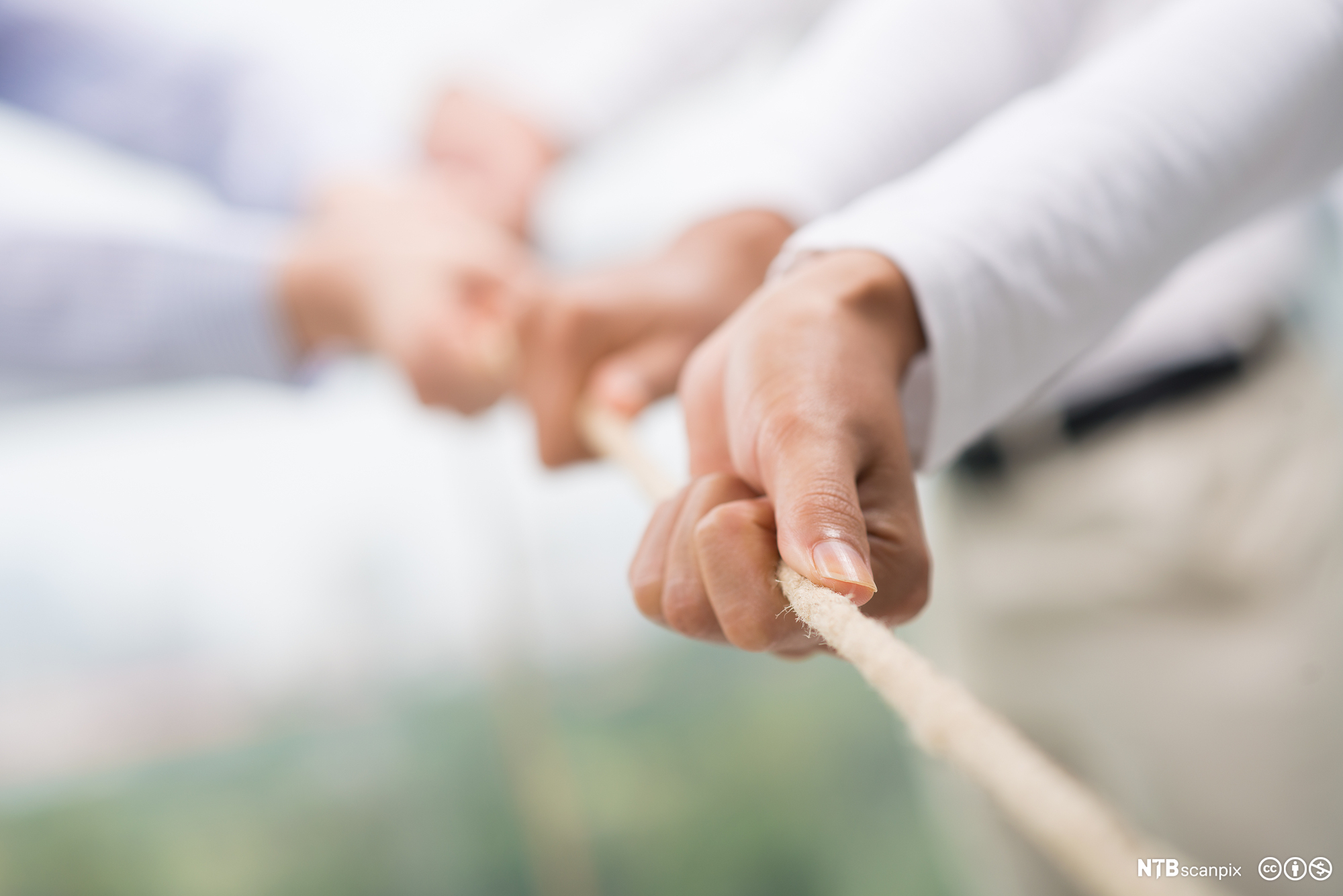 Flere hender trekker i et tau. Foto.