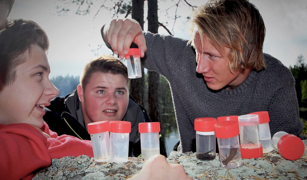 Tre gutter som studerer smådyr i prøveglass. Foto.