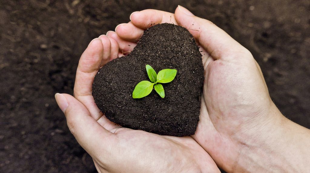 Hender som holder jord formet som et hjerte. Ei grønn spire kommer opp av hjertet. Foto.