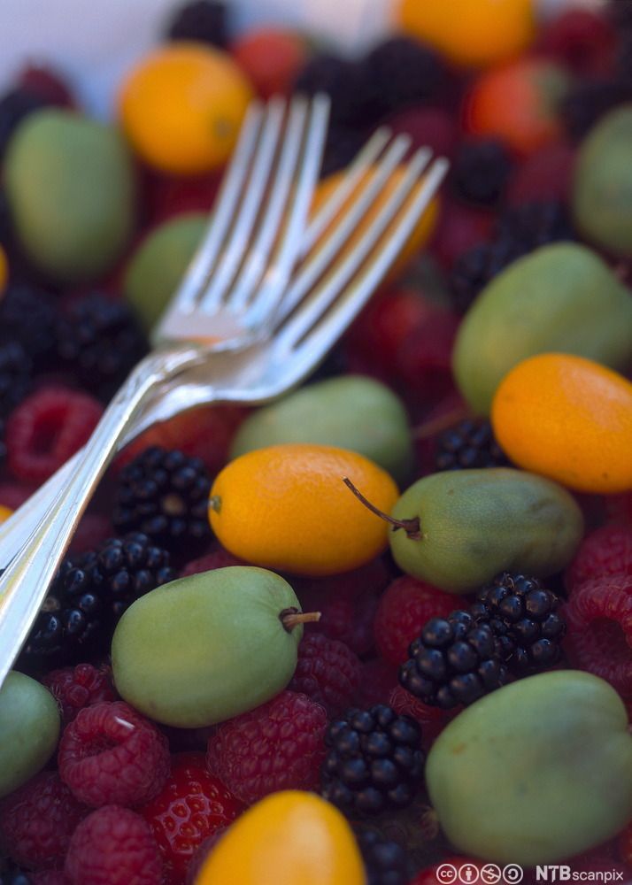 Ein fruktsalat og to gaflar. Foto.