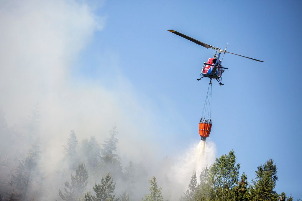Helikopter i lufta over et skogsområde. Fra helikopteret henger det ei brannbøtte. Foto.