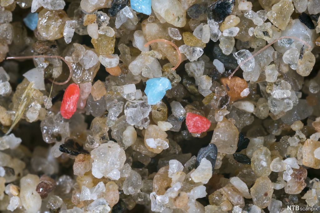 Plastframenter og -fiber blandet med sandkorn. Foto.