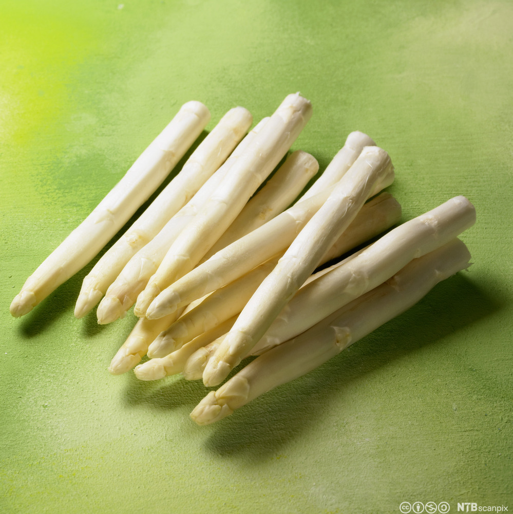 En haug hvite aspargesskudd på grønn flate. Foto.