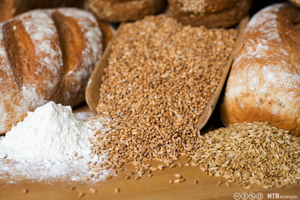 Eit par brød, korn og mjøl på ein benk. Foto.