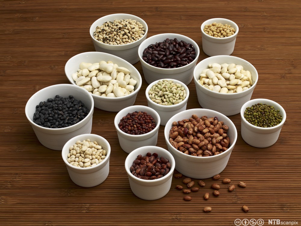 Skåler med forskjellige typer tørkede bønner. Foto.