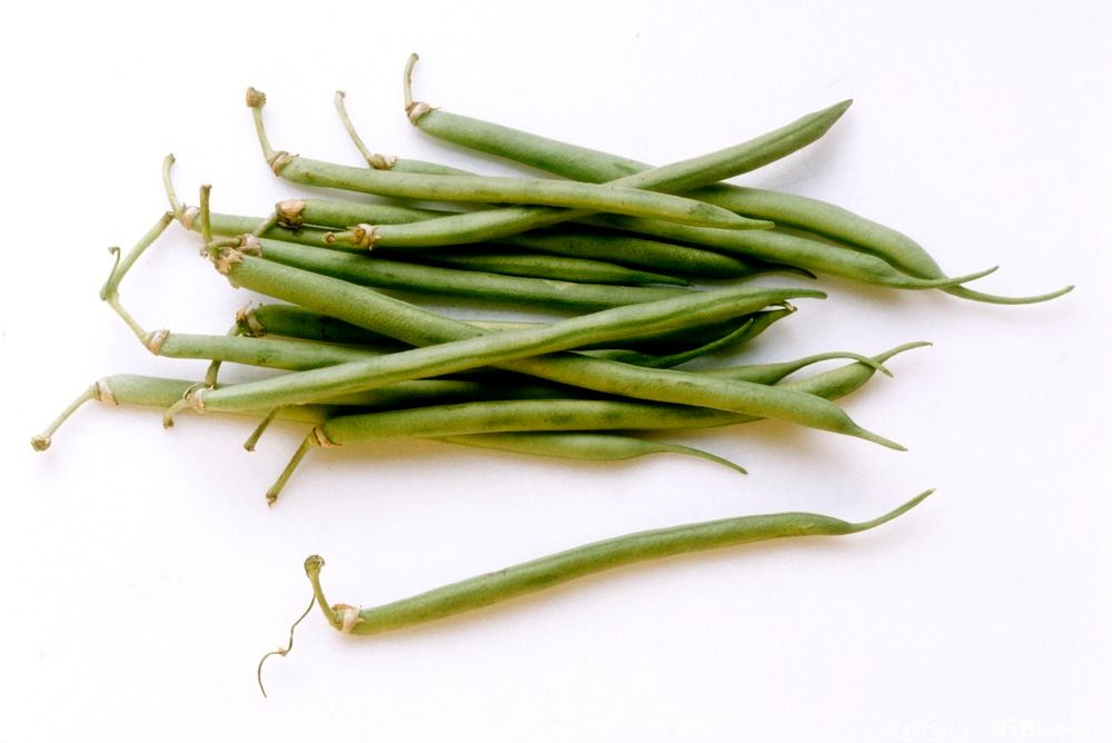 En haug tynne, grønne bønner mot hvit bakgrunn. Foto.