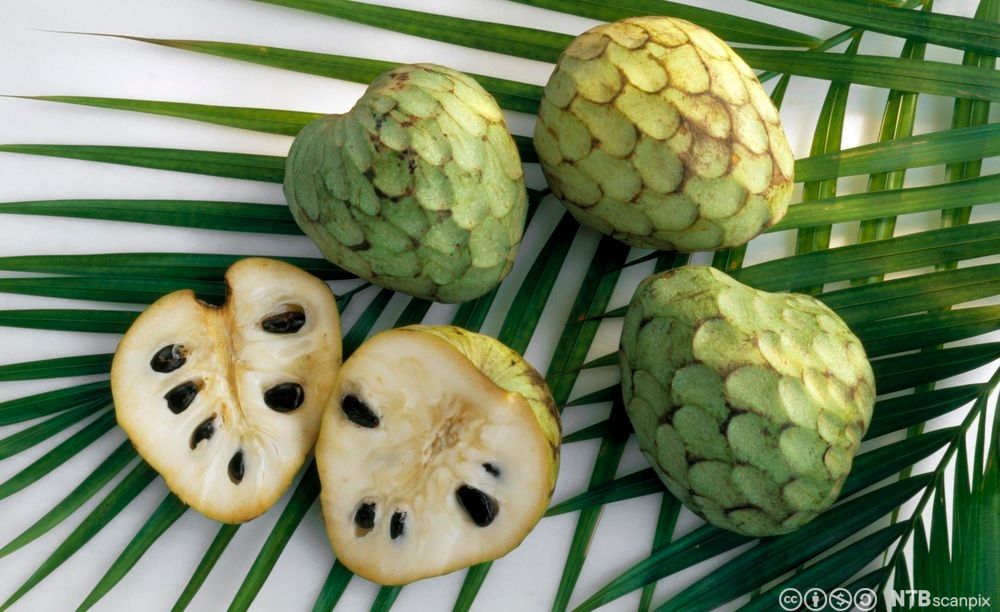 Tre hele cherimoya og en delt i to. Foto.
