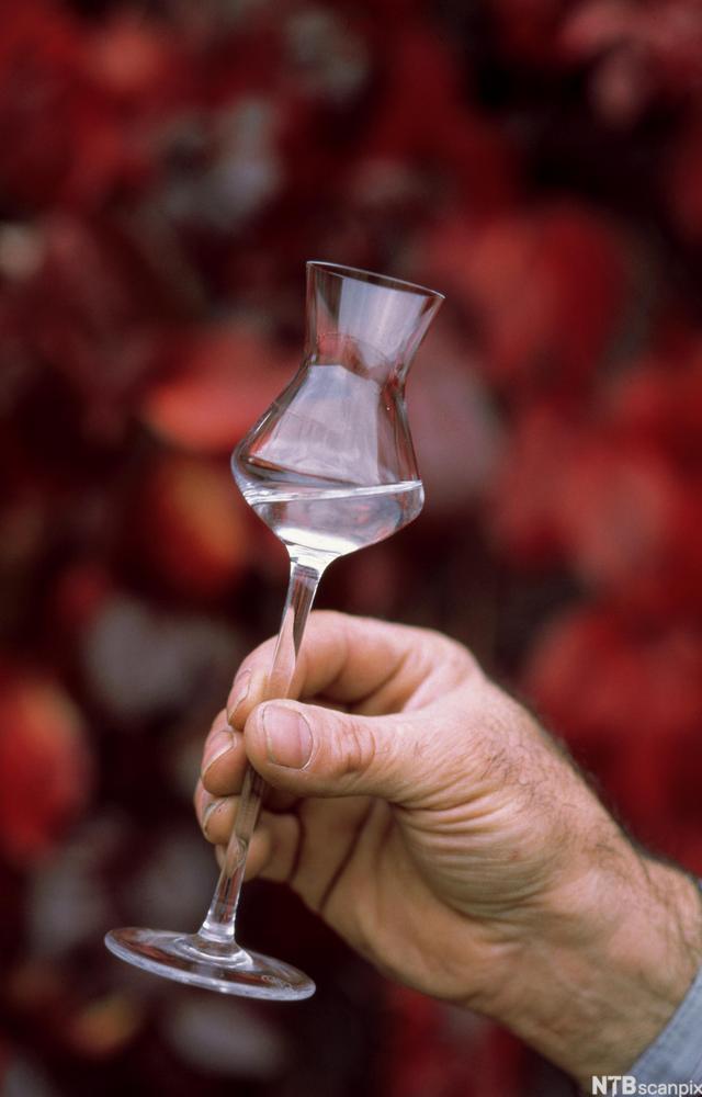 En hånd som holder et stettglass med blank drikke. Foto.