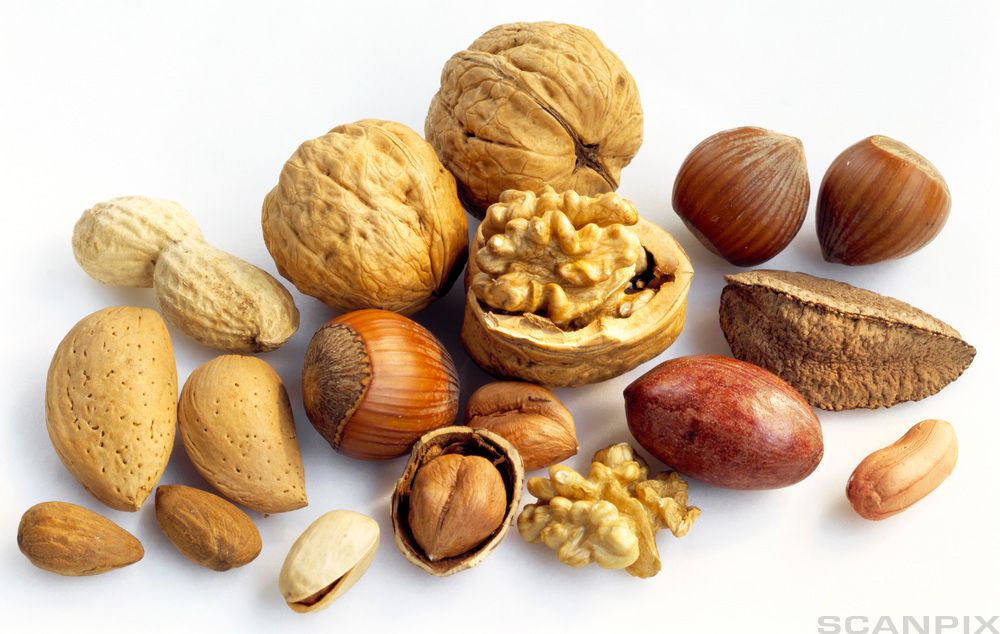 Ulike typer nøtter og kjerner ligger på ei flate. Illustrasjon.