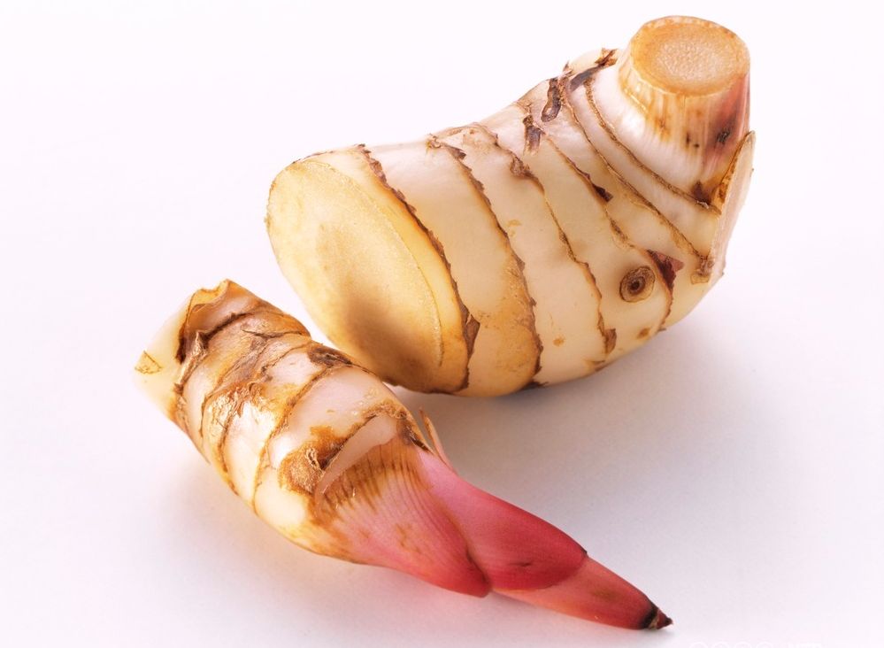 To biter galangarot. Foto.