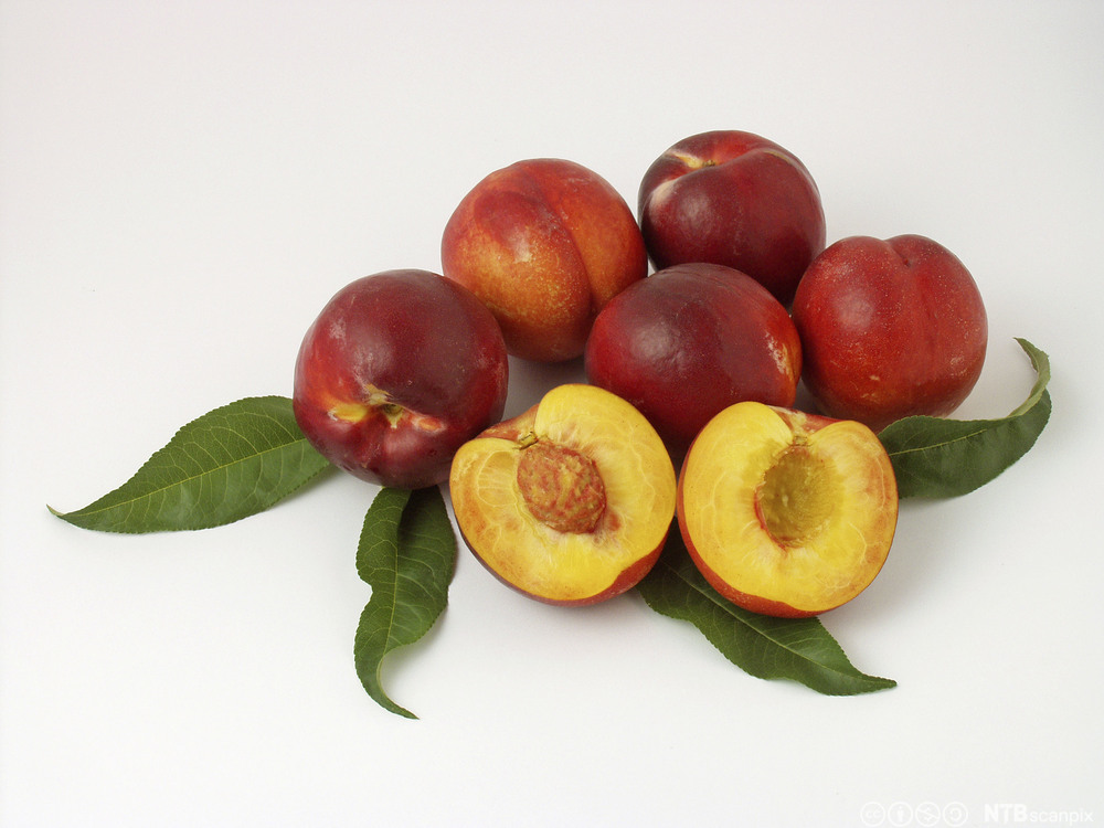 Hele og halve nektariner på et bord. Foto.