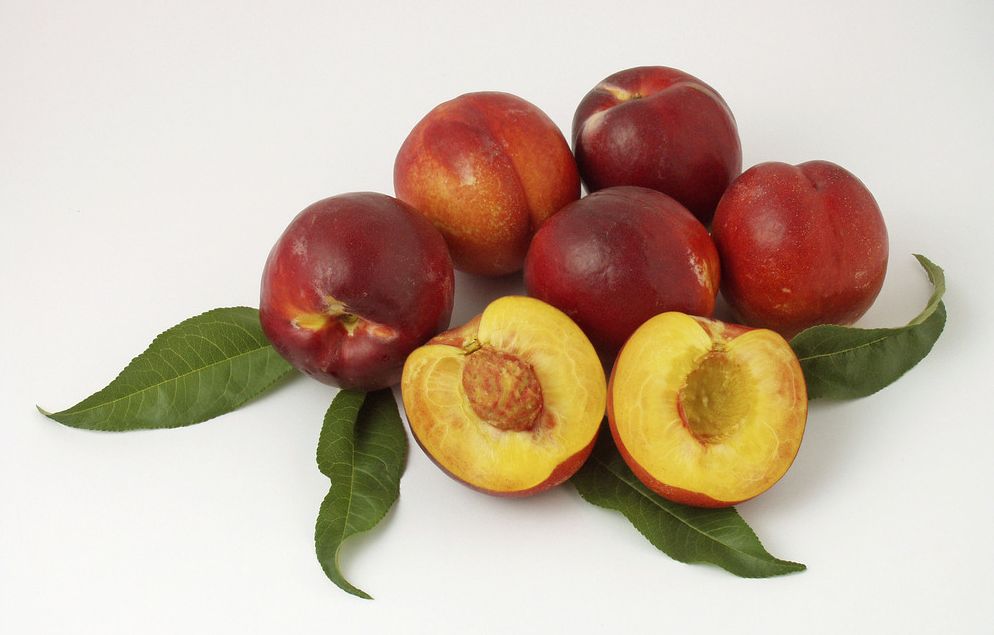 Hele og halve nektariner på et bord. Foto.