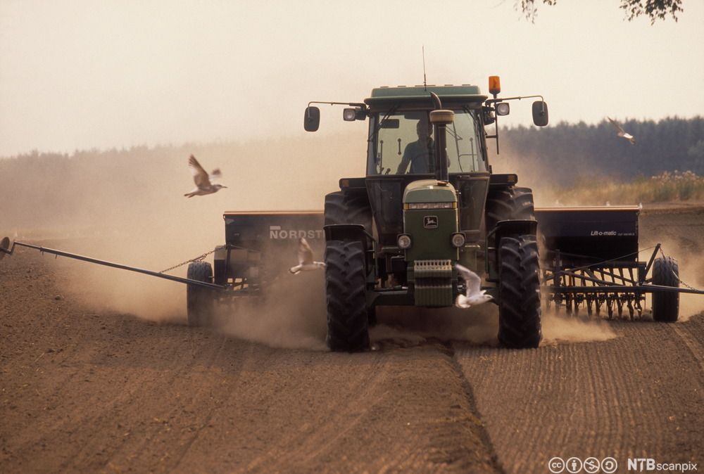 Traktor som sår. Foto.