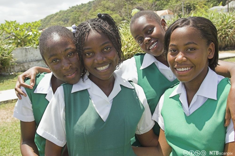 Schoolgirls in uniforms. Photo.