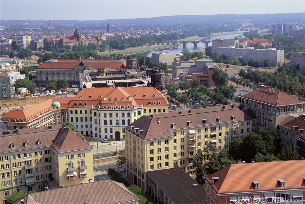 Oversiktsbilde over byen Dresden, Tyskland. Foto.