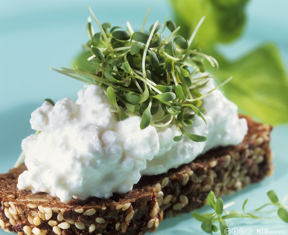 Grov brødskive med cottage cheese og urter. Foto.