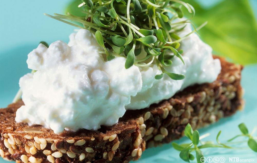 Grov brødskive med cottage cheese og urter. Foto.