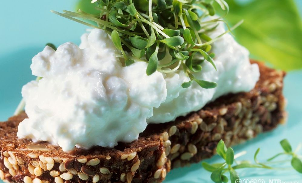 Grov brødskive med cottage cheese og urter. Foto.