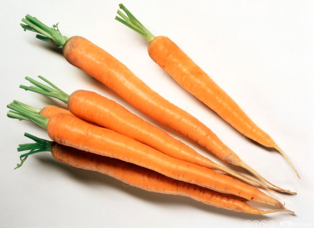  En bunt gulrøtter. Foto.