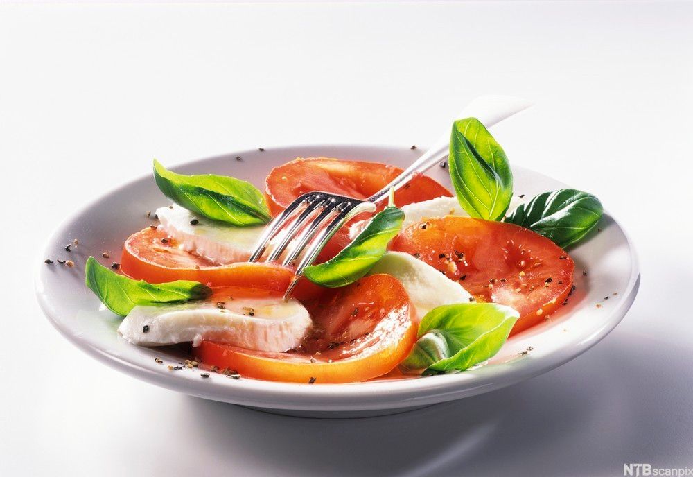 Skiver av mozzarella og tomater pent anrettet på en tallerken og pyntet med ferske blader av basilikum. Foto.
