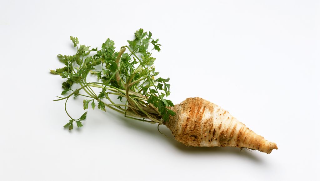 Ei persillerot mot kvit bakgrunn. Foto.