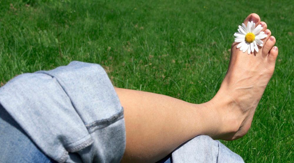 Fot med prestekrage mellom tærne. Foto.