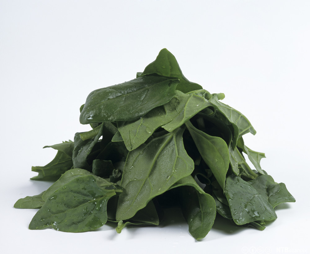 Spinatblader. Foto.