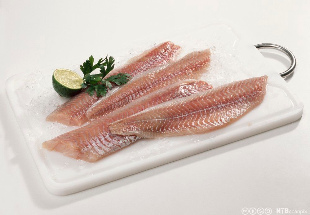 Fire seifileter på is oppå ei hvit serveringsfjøl. En halv lime og et grønt blad er brukt som garnityr. Foto.