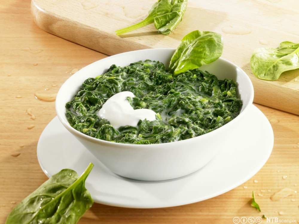 Kremet spinat med rømme tilberedt i en hvit skål. Foto.