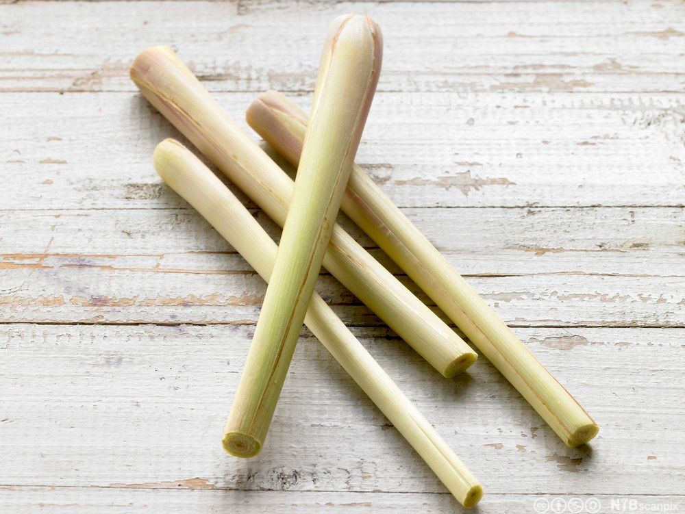 Fire sitrongress på et bord. Foto.