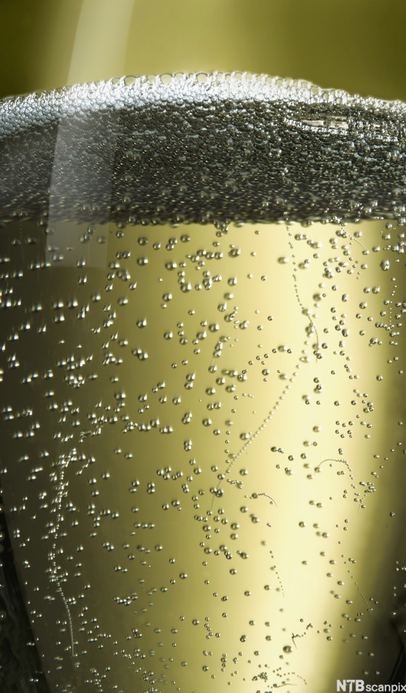 Nærbilde av musserende drikke i et glass. Foto.