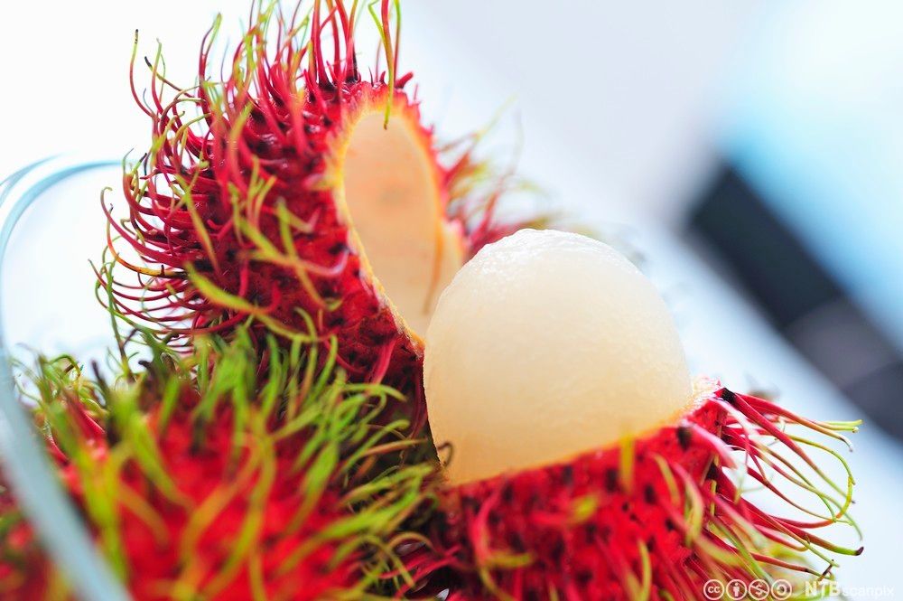 En åpnet rambutan frukt. Foto.