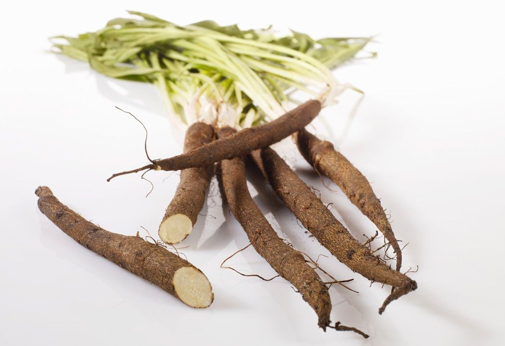 Mørkebrune, avlange, fingertykke røtter med blader på. Den ene er delt i to med hvit snittflate. Foto.