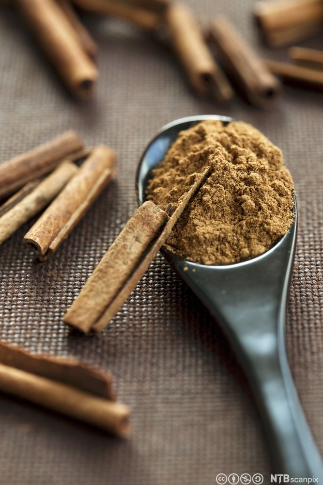 Kanel i heil og oppmalen form. Foto.