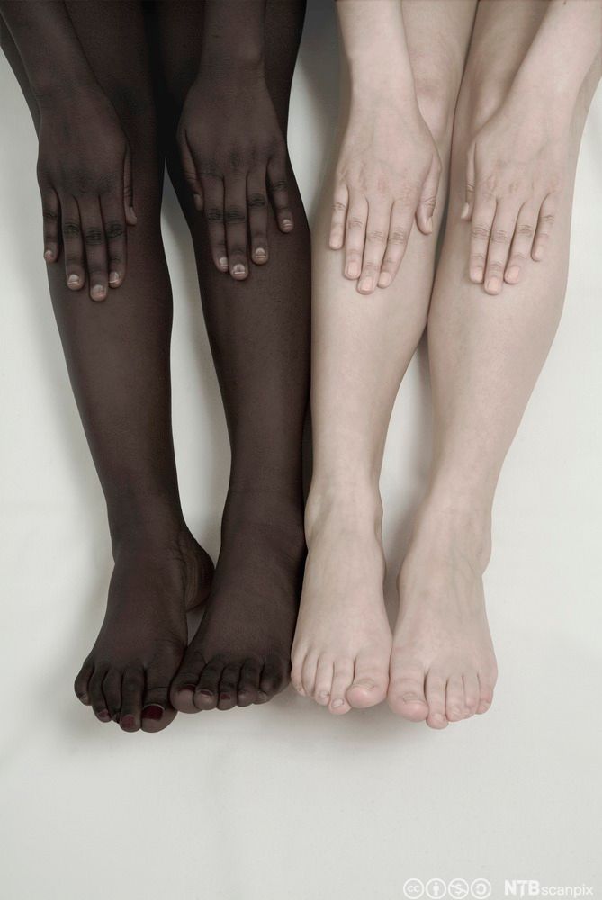 Føtter med mørk og lys hud. Foto.