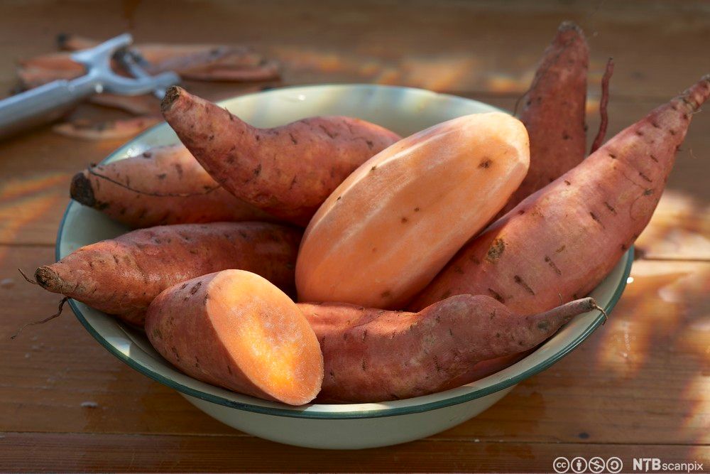 Søtpoteter i en skål. Foto.