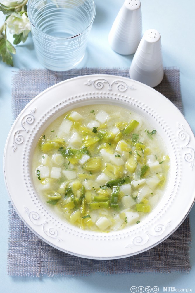 Tallerken med suppe med lysegrøne og  kvite grønsaksbitar. Foto.
