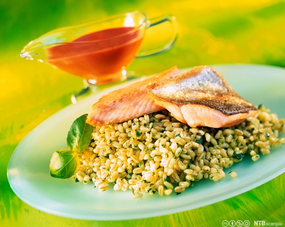 Matrett med ørret og byggrisotto. Foto.