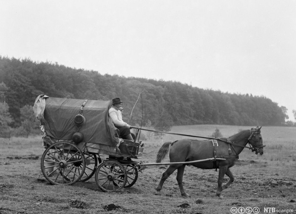 En mann og ei kvinne kjører ei overdekket hestevogn. Fotografiet er fra 1950-tallet. Svart-hvitt foto. 
