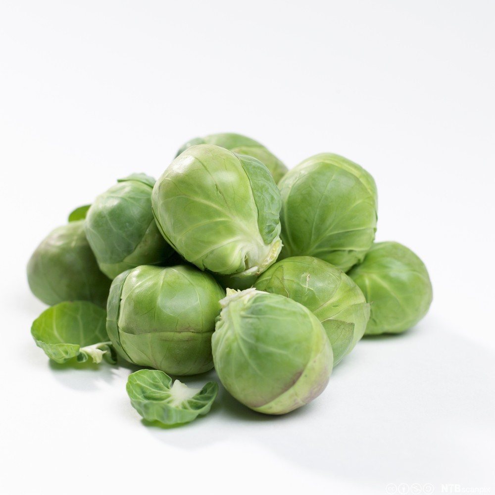 Liten haug med rosenkål. Foto.