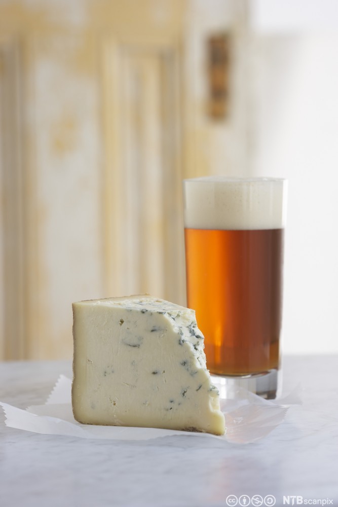 Et stykke stilton og et glass øl. Foto.