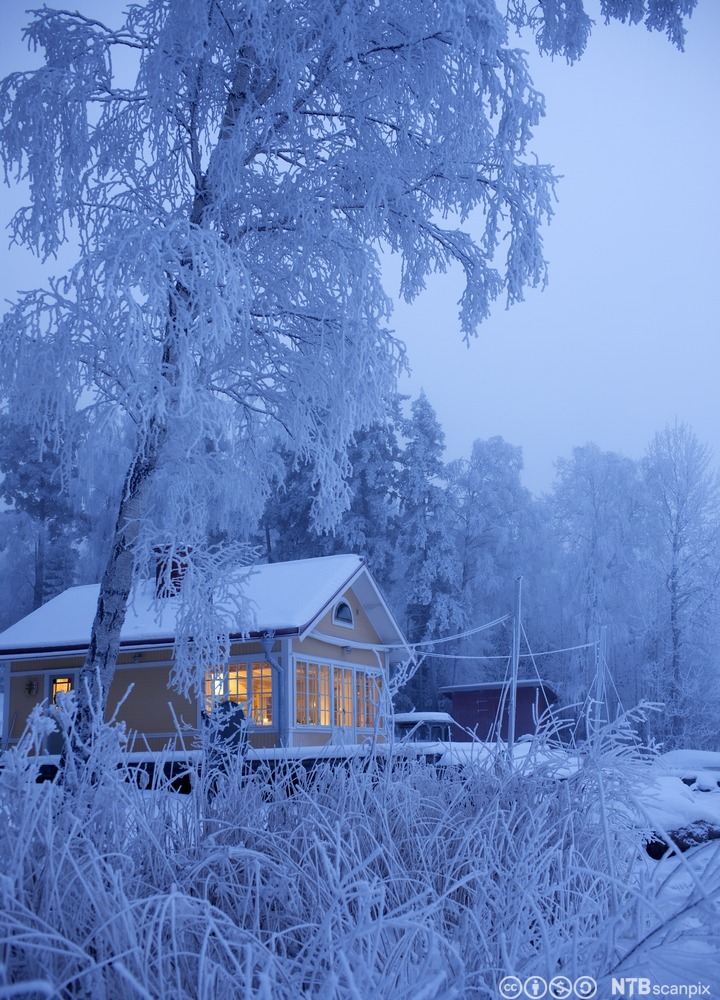 Hus i vinterlandskap. Foto.