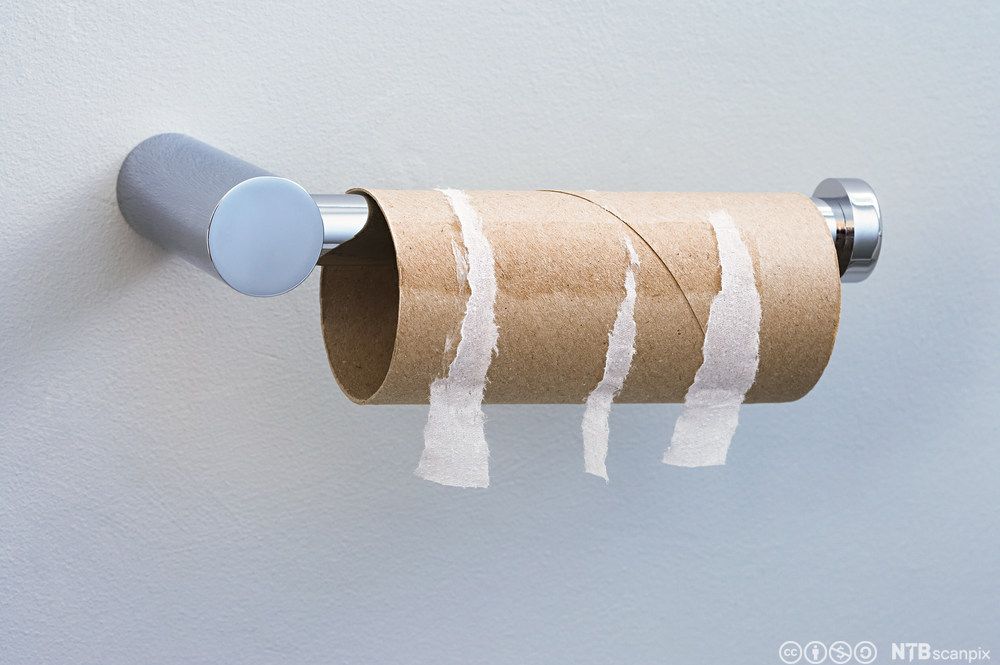Toalettrull utan papir. Foto.