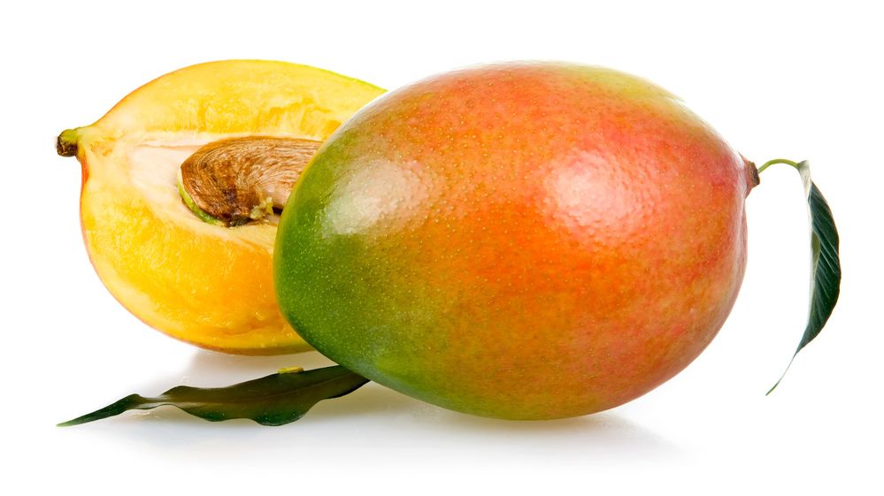 Mango delt i to mot hvit bakgrunn. Skallet har nyanser av grønt, rødt og gult. Fruktkjøttet er gult. Steinen i kjernen er synlig. Foto.